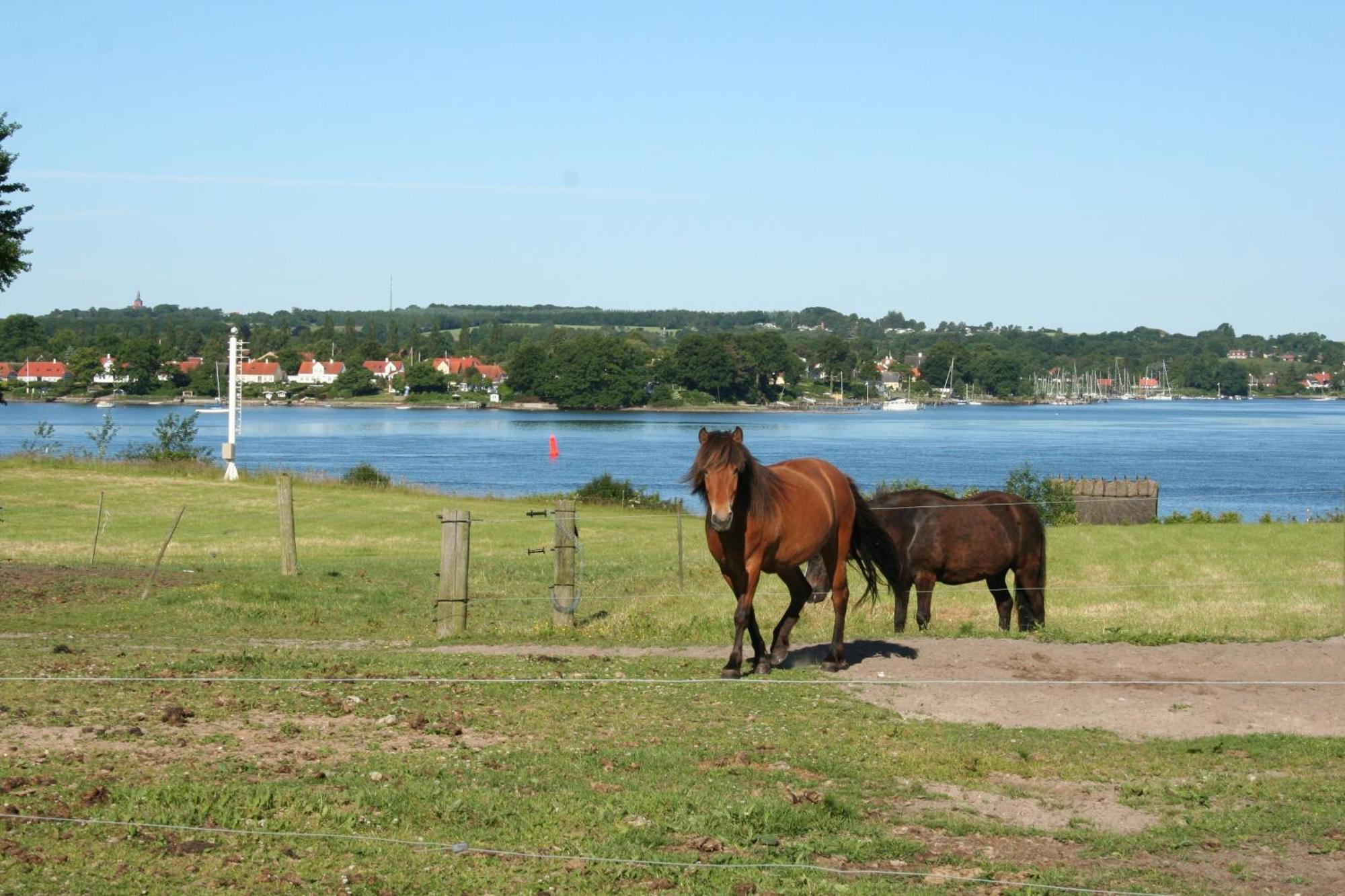 Grastenhus Guesthouse Thurø By Buitenkant foto